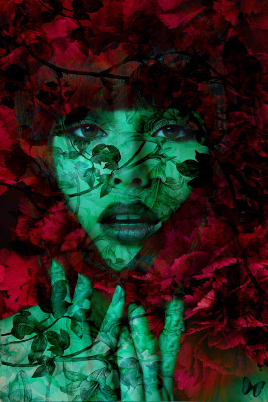woman surrounded by red flowers